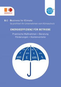 B4C: Energieeffizienz für Betriebe (Cover)