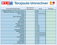 Terajoule-Umrechner für Unternehmen (Excel)